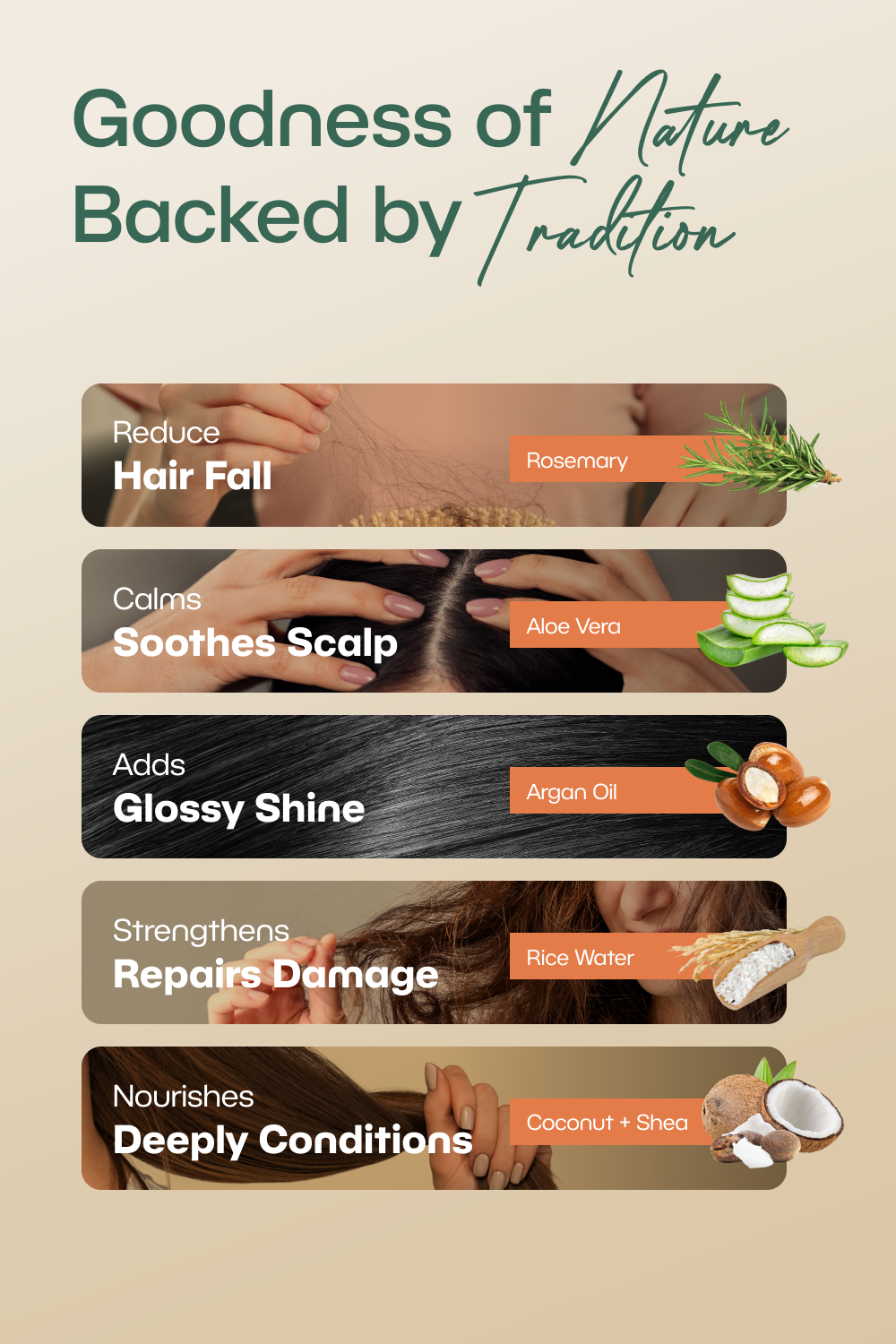 Root Revival Hair Mist + Hydrating Duo 2-in-1 Shampoo & Conditioner | Hair Fall Control, Regrowth & Hydration