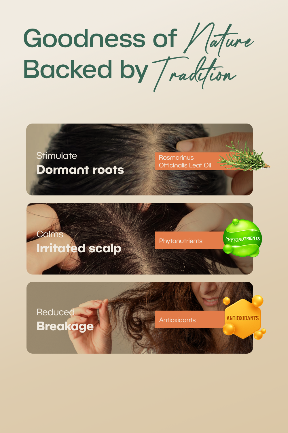 Rosemary Hair Essential Oil  (20ml)